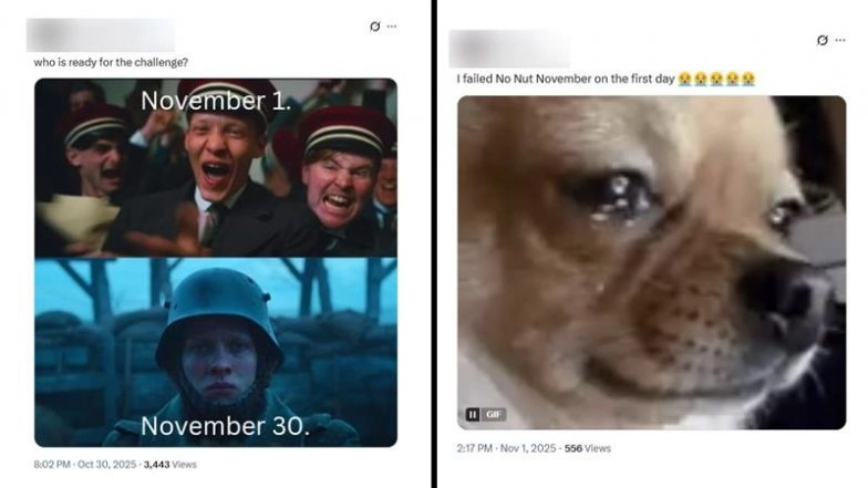 No Nut November 2025 Memes and Jokes: Hilarious NNN Puns and Viral Instagram Posts Take Over Social Media To Celebrate the Nutty Month of Laughter