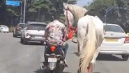 Bengaluru: Man Ties Horse to Scooter and Drags It on Busy Road for Reel, Disturbing Videos Surface Bengaluru: Man Ties Horse to Scooter and Drags It on Busy Road for Reel, Disturbing Videos Surface