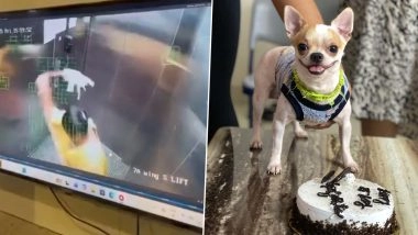 Animal Cruelty in Bengaluru: Domestic Worker Smashes Puppy to Death Inside Apartment Lift in Karnataka; CCTV Footage Sparks Outrage