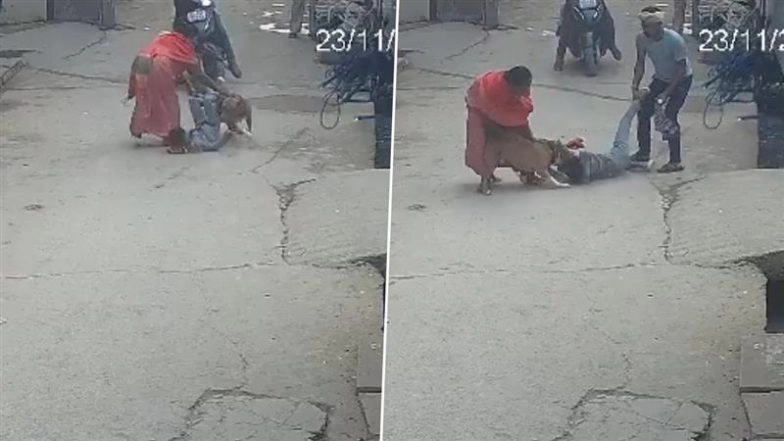 Delhi Dog Attack: Pitbull Attacks 6-Year-Old Boy in Prem Nagar, Bites Off His Ear; Owner Arrested (Disturbing Video)
