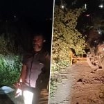 Coimbatore Encounter: 3 Accused in Gangrape of College Student and Murder of Her Boyfriend Near Airport Shot in Legs While Trying To Escape Arrest in Tamil Nadu (Watch Video)