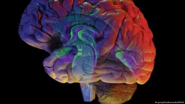 New 'brain Atlases' May Change Fight Against Alzheimer's, MS