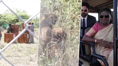 Botswana Gifts Cheetahs to India: President Droupadi Murmu Receives 8 Big Cats from Counterpart Duma Gideon Boko, Witnesses Symbolic Quarantine Release at Mokolodi Nature Reserve (Watch Video)