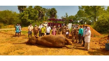 India News | Ailing 64-year-old Elephant Indira Dies at Tiruchirappalli Rehabilitation Centre