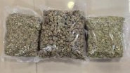 DRI Mumbai Seizes Drugs in Food Packets- Hydroponic Weed Worth INR 42 Crore Seized at Mumbai Airport; 2 Arrested