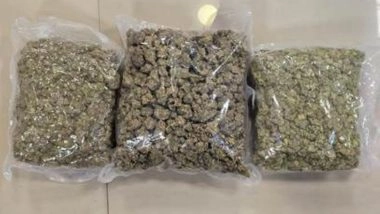 DRI Mumbai Seizes Drugs in Food Packets- Hydroponic Weed Worth INR 42 Crore Seized at Mumbai Airport; 2 Arrested
