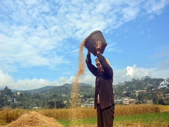 India News | APEDA Facilitates First Export of Fortified Rice Kernel from Chhattisgarh to Costa Rica