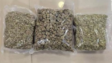 India News | DRI Mumbai Seizes over 42 Kg High-quality Hydroponic Weed Worth ₹42 Crore at Mumbai Airport; Two Arrested