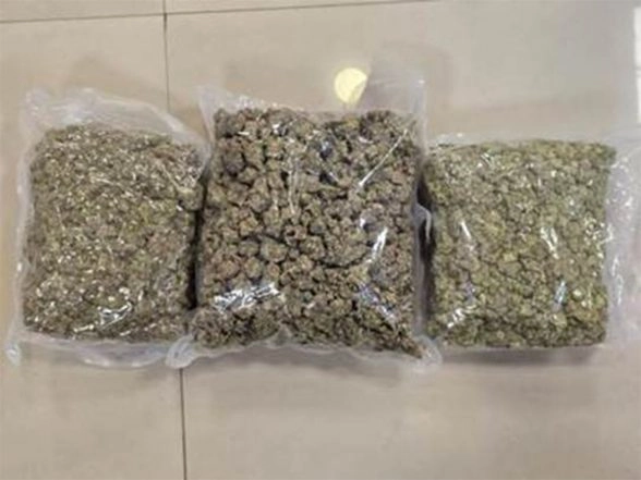India News | DRI Mumbai Seizes over 42 Kg High-quality Hydroponic Weed Worth ₹42 Crore at Mumbai Airport; Two Arrested