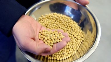 World News | Bangladesh Companies Sign Deal to Buy USD 1 Billion Soybeans from US