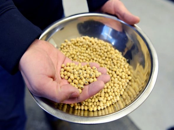 World News | Bangladesh Companies Sign Deal to Buy USD 1 Billion Soybeans from US
