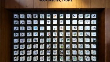 Business News | Shapoorji Pallonji Real Estate Unveils the 'Coexistence with Flora & Fauna' Mural at VANAHA, Pune