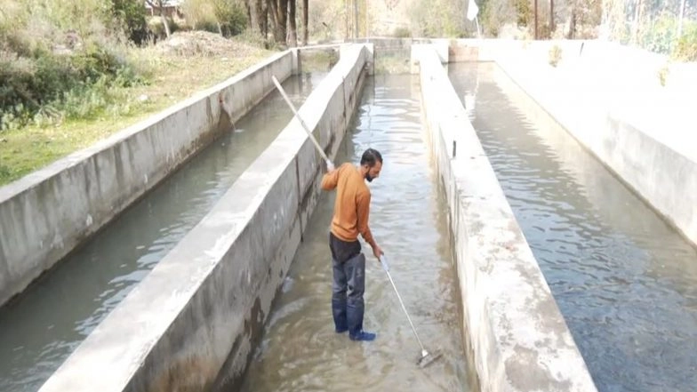 India News | From Farm to Table: Tanvir Ahmad's Innovative Fish Farming Solution Meets Growing Demand in J-K's Tanghdar