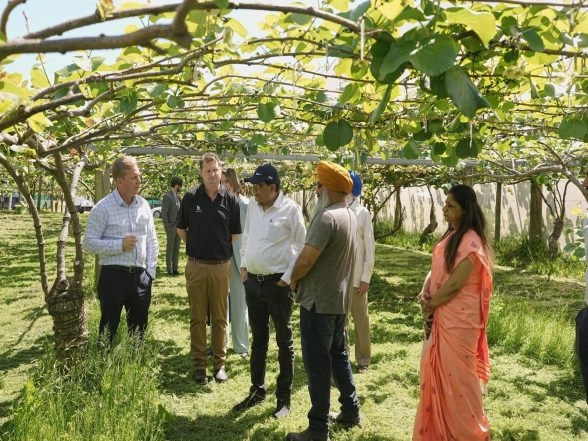 World News | Piyush Goyal Visits New Zealand Kiwifruit Orchard, Discusses Sustainability and Productivity with Kiwi-Indian Farmers
