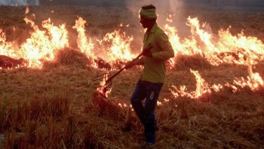 India News | Punjab Records 3,284 Stubble Burning from Sept 15 to Nov 6, Haryana Witnesses 206