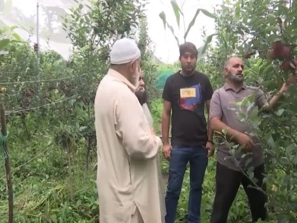 India News | J-K: Rajouri Farmers Make Major Shift from Traditional Cereal Crops to Ultra-high-density Fruit Farming Under Horticulture Revolution