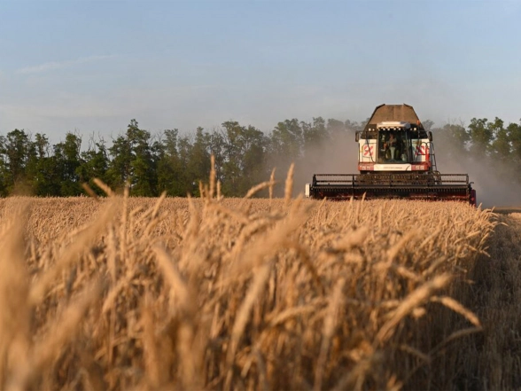 World News | Pakistan's Agriculture Sliding into Crisis Amid Soaring Production Costs and Policy Neglect