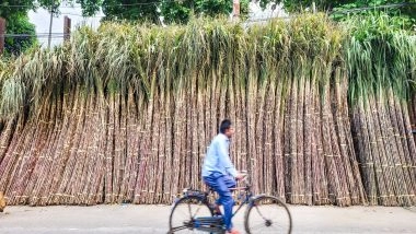 Business News | ISMA Welcomes Government Nod for Sugar Exports, Seeks Revision of MSP and Ethanol Prices