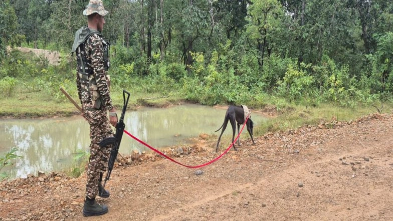 India News | Six Maoists Killed in Ongoing Operation with Security Forces in Chhattisgarh's Bijapur