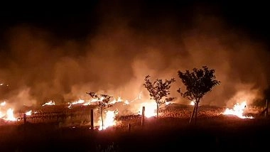 India News | CAQM Issues Notice to Fatehabad DC for Failing to Curb Stubble Burning in Haryana