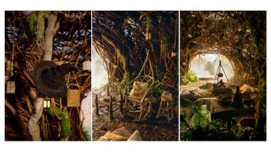 Business News | Discover the Magic of Wicked: For Good at Elphaba's Retreat