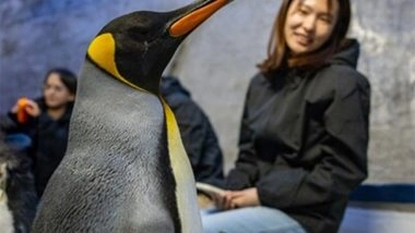 Business News | Banyan Group's Inaugural Rainforest Festival Expands with Curated Paid Experiences from Mandai Wildlife Group and Mandai Rainforest Resort by Banyan Tree