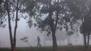 World News | Hazardous Smog Grips Pakistan's Punjab as AQI Soars Across Major Cities