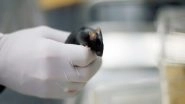 World News | China: 4 Mice Sent for Life-science Tests in Space Return to Earth
