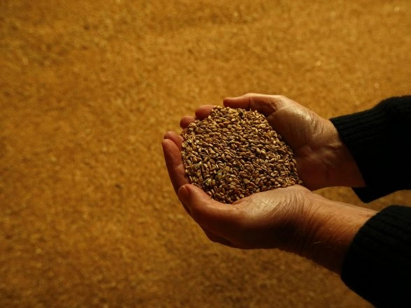 World News | BRICS Emerges as New Global Hub of Food Security