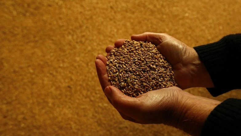 World News | BRICS Emerges as New Global Hub of Food Security