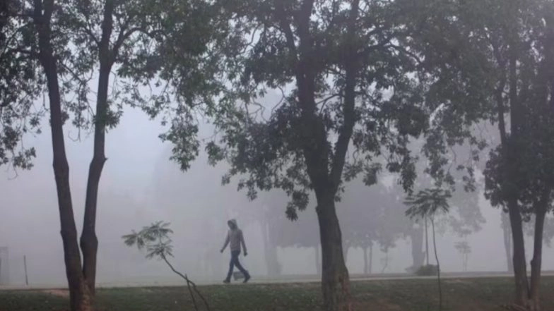 World News | Pak: Punjab Smog Crisis Deepens as Bahawalpur Records 469 AQI