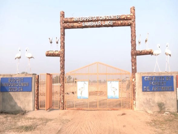 India News | Rajasthan: Foreign Migratory Birds Return to Sambhar Lake, Millions of Flamingos, Other Species Create a Stunning Sight