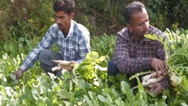 India News | Organic Farming Boosts Farmers' Income in J-K's Udhampur