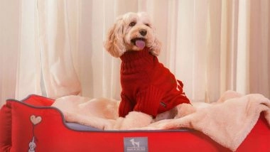 Business News | Love in the Layers: HUFT's Winter Collection Is Here to Make Life Magical for Pets and Their People