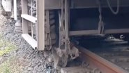 India News | Jharkhand: Two Coaches of Passenger Train Derails Near Dumka, Minor Injuries Reported