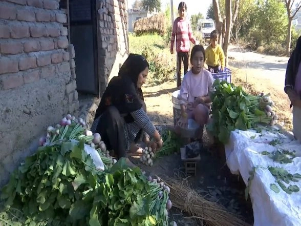 India News | J-K: 50 Families Adopt Organic Farming in Rajouri's Mehra Village
