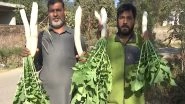 India News | Mehra Village in Rajouri Turns 100% Organic as Youth Lead a Sustainable Farming Shift