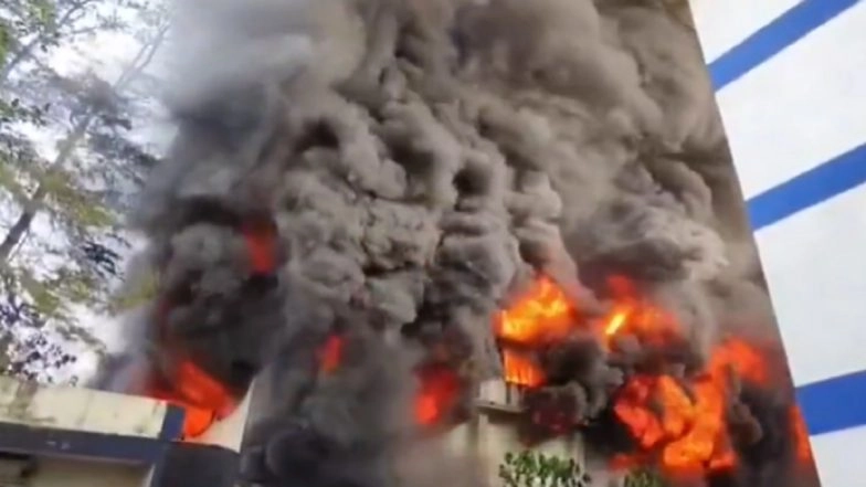Bhiwandi Fire: Massive Blaze Erupts at Dyeing Company in Maharashtra's Saravali MIDC Area (Watch Video)