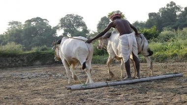 PM KISAN Scheme: What Is Pradhan Mantri Kisan Samman Nidhi Yojana? From Eligibility to Benefits, Know Steps To Register Online at pmkisan.gov.in