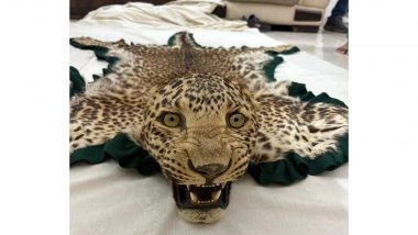 Wildlife Smuggling Busted in Nagpur: DRI Seizes Leopard Skin Trophy in Bhopal; 3 Arrested