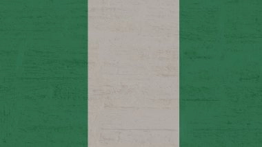 Nigeria Children Abduction: 50 of 303 Schoolchildren Escape Captivity in Niger, Reunited With Their Families; 253 Students and 12 Teachers Still Held by Kidnappers