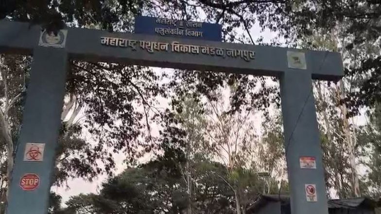 Pune Land Deal Controversy: FIR Against 26 in Alleged Illegal Sale of 15-Acre Government Land in Pimpri Chinchwad