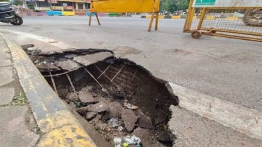 Shastri Bridge in Indore Affected by Rat Infestation: 5-Foot-Deep Crater Appears After Rats Create 20 Holes Under City's Oldest and Busiest Flyover