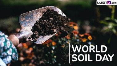 World Soil Day 2025: Date, Theme, History and Importance of Protecting Soil Resources