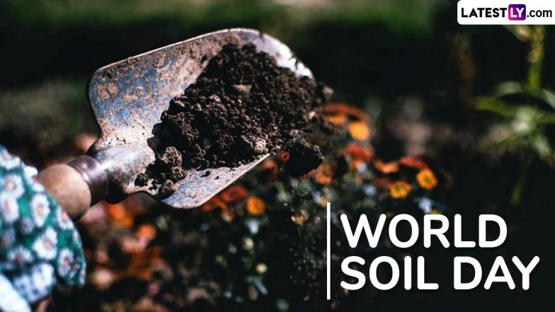 World Soil Day&nbsp;2025: Date, Theme, History and Importance of Protecting Soil Resources
