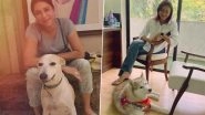 Sanjay Dutt&rsquo;s Sister Priya Dutt Slams Authorities for Targeting Stray Dogs While Delhi Battles Severe Pollution; Says &lsquo;When the System Fails the Voiceless&rsquo; (View Post)