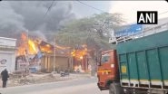 Delhi Fire: Blaze Erupts at Vardaan Palace Banquet Hall in Ibrahimpur Village, No Injuries Reported (Watch Video)