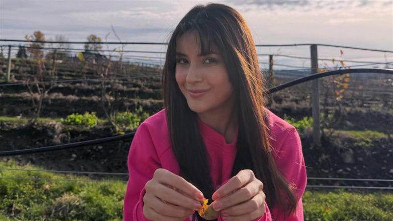 Shehnaaz Gill Says &lsquo;Bigg Boss Changed My Life&rsquo; as She Talks Success and New Film &lsquo;Ikk Kudi&rsquo;