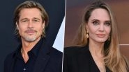 Brad Pitt Sues Angelina Jolie Again Over Chateau Miraval Winery Amid USD 35 Million Legal Battle