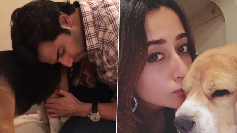 ‘Heaven Gained Another Angel’: Varun Dhawan Mourns the Passing of His Pet Dog Angel, Pens Heartfelt Note (View Post)
